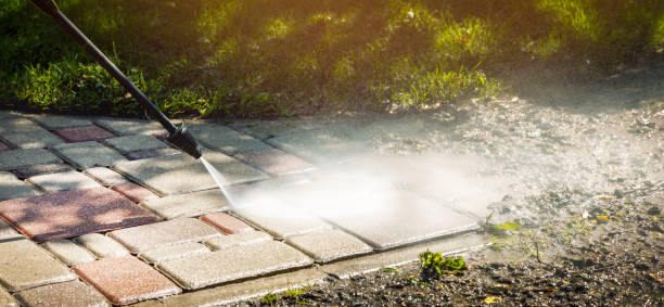 Best Soft Washing for Delicate Surfaces in Wagon Wheel, AZ